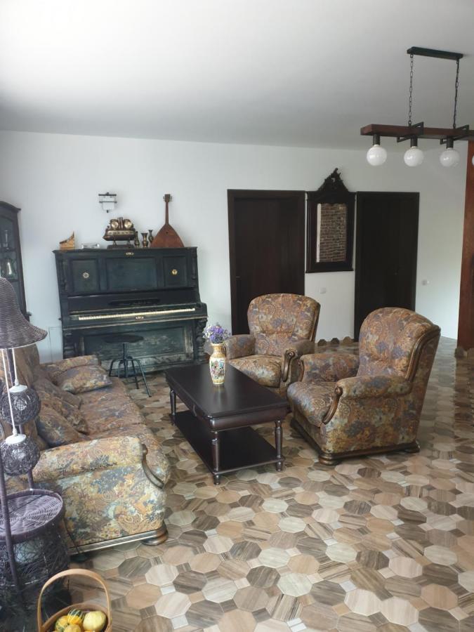 Casa Danei Braşov Exterior foto
