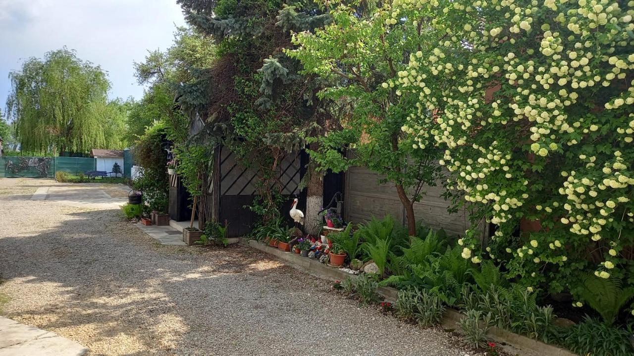 Casa Danei Braşov Exterior foto